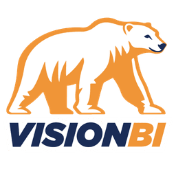 Vision BI