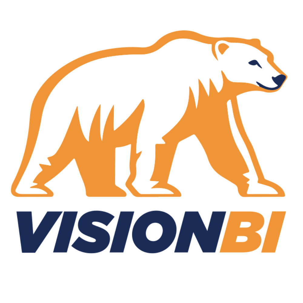 Vision BI